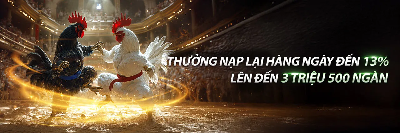 Xem đá gà trực tiếp - Nền tảng giải trí hàng đầu Việt Nam