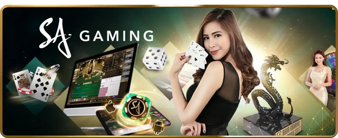 Hướng dẫn xem đá gà trực tiếp cho người mới
